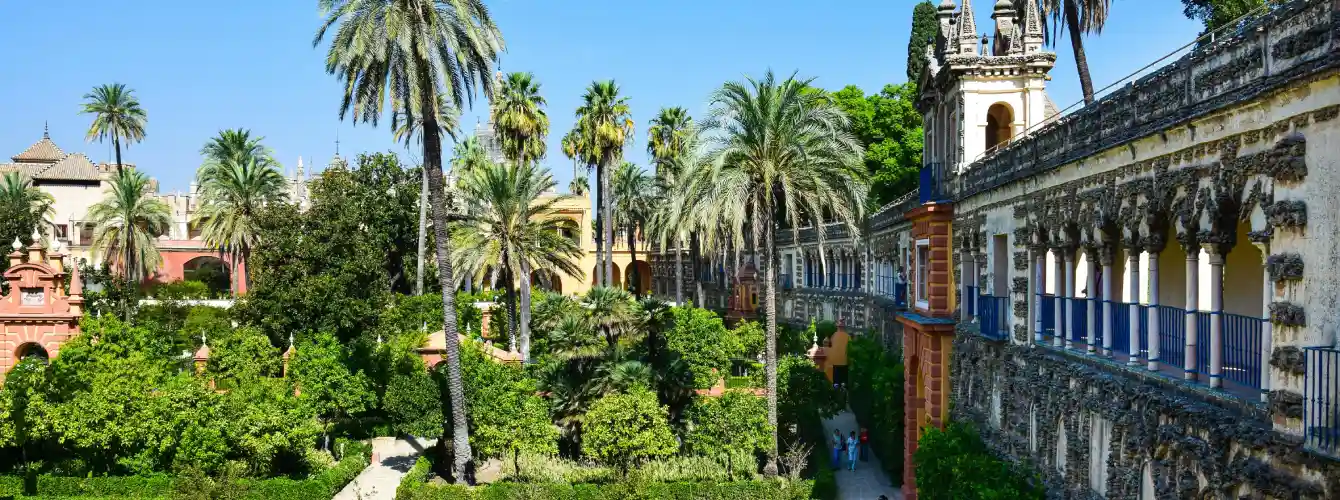 Panoramic view of the lush Gardens of the Real Alcázar in Seville on a sunny day, featuring the architectural Galeria de Grutesco wall with arches, towering palm trees, and manicured orange trees, showcasing exquisite Moorish and Renaissance landscape design