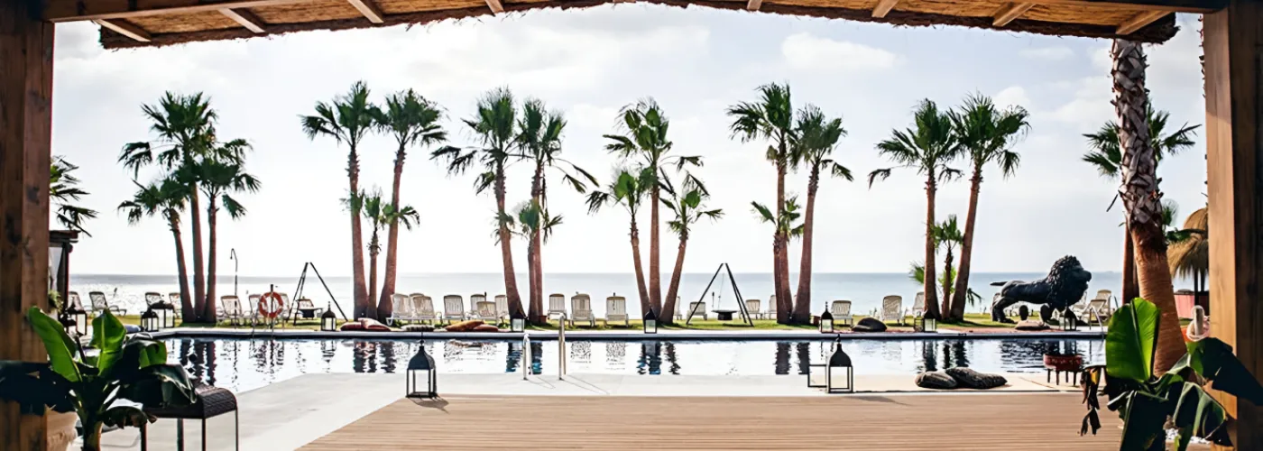 Luxurious infinity swimming pool surrounded by tall palm trees, white lounge chairs, and a striking black lion statue overlooking the calm ocean on a sunny day at a premium beachfront resort
