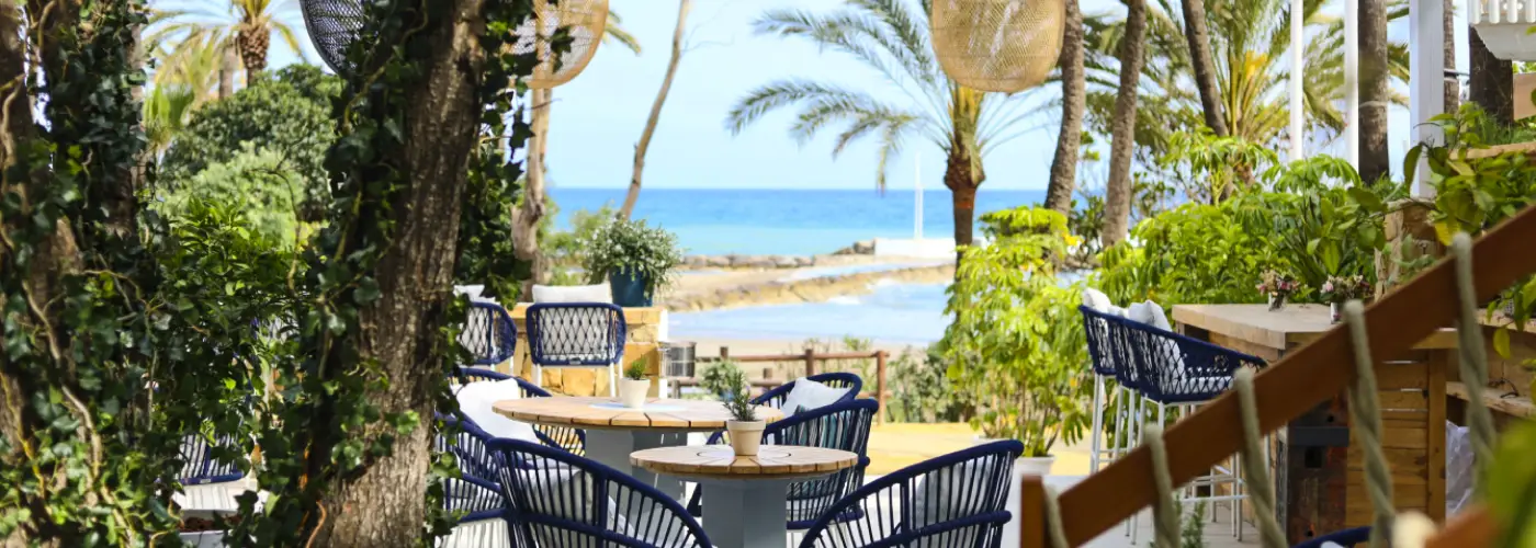 Relaxed beachfront terrace with palm trees ivy and stunning Mediterranean sea views